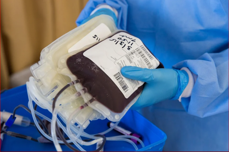 plasma sangue donazione