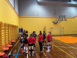 volley